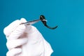 Woman doctor holds tweezers of medical leeches. Hirudotherapy, Hirudo medicinalis. Alternative medicine, bloodletting and Royalty Free Stock Photo