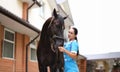 Woman doctor veterinarian stroking thoroughbred horses on farm Royalty Free Stock Photo