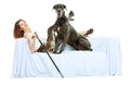 Woman and dog Royalty Free Stock Photo