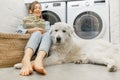 Woman with a dog doing housework in the laundry Royalty Free Stock Photo