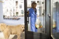 Woman with dog entering apartment building Royalty Free Stock Photo