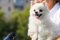 A woman with a dog in her arms gives an interview. A journalist with a microphone interviews the dog`s owner