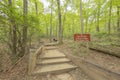 Woman with Dog hiking a trail at Amicalola Falls State Park Royalty Free Stock Photo