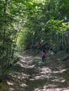 Woman with a dog hiking Royalty Free Stock Photo