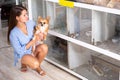 Woman with dog with interest looking at small aquarium with mouses Royalty Free Stock Photo