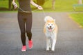 Jogger and akita dog running outdoors