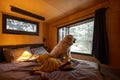 Woman with a dog lying on bed at wooden cabin on nature