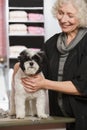 Woman and dog at pet grooming salon Royalty Free Stock Photo