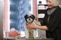 Woman and dog at pet grooming salon Royalty Free Stock Photo