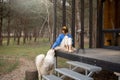 Woman with dog rests near wooden cottage in nature Royalty Free Stock Photo