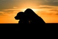 Woman dog silhouette Royalty Free Stock Photo