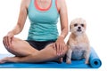 Woman and dog sitting on a yoga mat Royalty Free Stock Photo