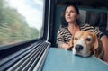 Woman with dog in the train wagon Royalty Free Stock Photo