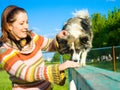 Woman is dog training Royalty Free Stock Photo