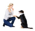 Woman, dog training and paw in studio for learning, focus and greeting with dog food by white background. Trainer, pet Royalty Free Stock Photo