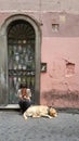 Woman and dog, Trastevere, Rome, Italy Royalty Free Stock Photo