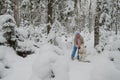 Woman with a dog on walk in a winter wood Royalty Free Stock Photo