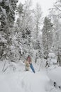 Woman with a dog on walk in a winter wood Royalty Free Stock Photo