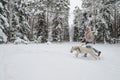 Woman with a dog on walk in a winter wood Royalty Free Stock Photo