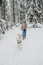 Woman with a dog on walk in a winter wood Royalty Free Stock Photo