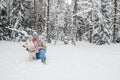 Woman with a dog on walk in a winter wood Royalty Free Stock Photo