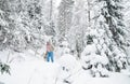 Woman with a dog on walk in a winter wood