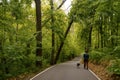 A woman with a dog are walking along a path in the park. Green trees felled after bad weather