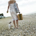 Woman and dog walking on the beach. Conceptual image Royalty Free Stock Photo