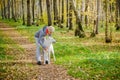 Woman with dog walking in the birch alley, sunny autumn day Royalty Free Stock Photo