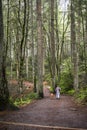 The woman with a dog walks on a footpath in a wild forest with high trees covered with moss Royalty Free Stock Photo