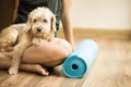 A woman and a dog in yoga class Royalty Free Stock Photo