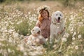 Woman dogs meadow chamomile. Woman embraces her furry friends in a serene chamomile field, surrounded by lush greenery