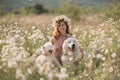 Woman dogs meadow chamomile. Woman embraces her furry friends in a serene chamomile field, surrounded by lush greenery