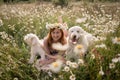 Woman dogs meadow chamomile. Woman embraces her furry friends in a serene chamomile field, surrounded by lush greenery