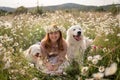 Woman dogs meadow chamomile. Woman embraces her furry friends in a serene chamomile field, surrounded by lush greenery