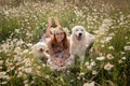 Woman dogs meadow chamomile. Woman embraces her furry friends in a serene chamomile field, surrounded by lush greenery