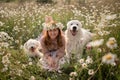 Woman dogs meadow chamomile. Woman embraces her furry friends in a serene chamomile field, surrounded by lush greenery