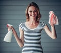 Woman doing cleaning at home Royalty Free Stock Photo