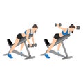 Woman doing Dumbbell bent over chest supported reverse flyes