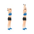 Woman doing Dumbbell triceps extension exercise. Royalty Free Stock Photo