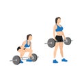 Woman doing Hex trap bar. Cage deadlifts. Squats Royalty Free Stock Photo