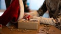 Woman doing online shopping at Christmas: she is sitting on the sofa at home, connecting with her laptop and holding a gift. Royalty Free Stock Photo