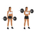 Woman doing Reverse barbell curl exercise