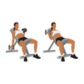 Woman doing Seated alternating incline bench dumbbell curls