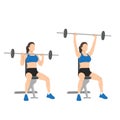 Woman doing seated barbell military press exercise. Shoulder overhead press