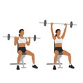Woman doing seated barbell military press exercise. Shoulder overhead press