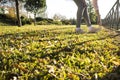 Woman doing stretching exercises at urban park in autumn season