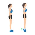 Woman doing tip toe pose move for reduce leg cellulite. Workout diagram about Calves reduction for slim leg