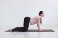 Woman doing yoga asana bitilasana cow or cat pose for gentle warm up for spine Royalty Free Stock Photo