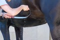 Woman Draining the Water From the Horse`s Mantle at the Riding S Royalty Free Stock Photo